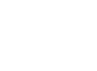 golden plus logo