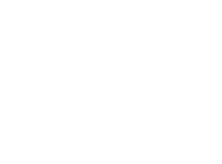 golden premier 2 logo