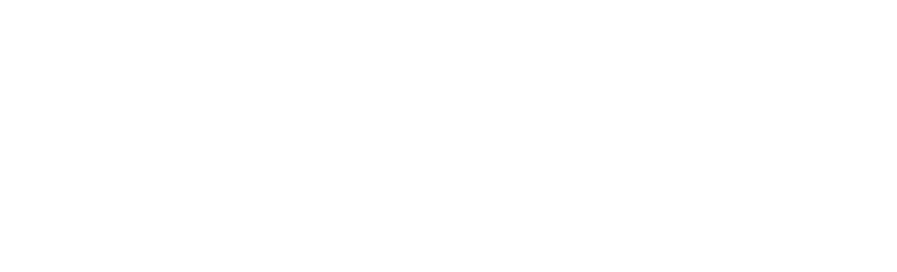 lifetime logo