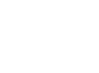 rcn logo