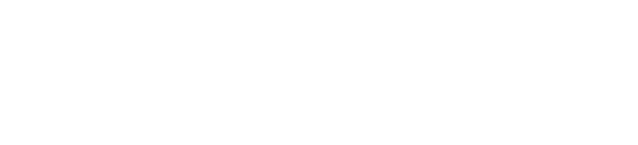 space logo